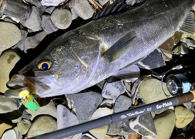 TheTakeBacker10S‼ | Go-Phish