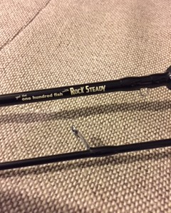 この春、アジは「ロックステディー」で！！ | Go-Phish