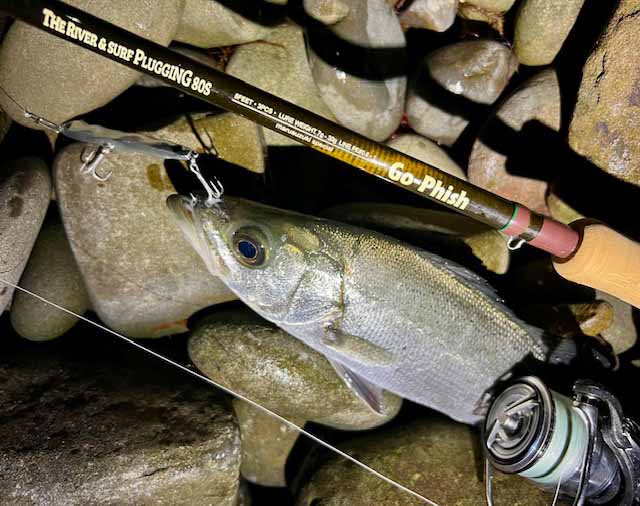 The River＆Surf Plugging 80S DPS | Go-Phish