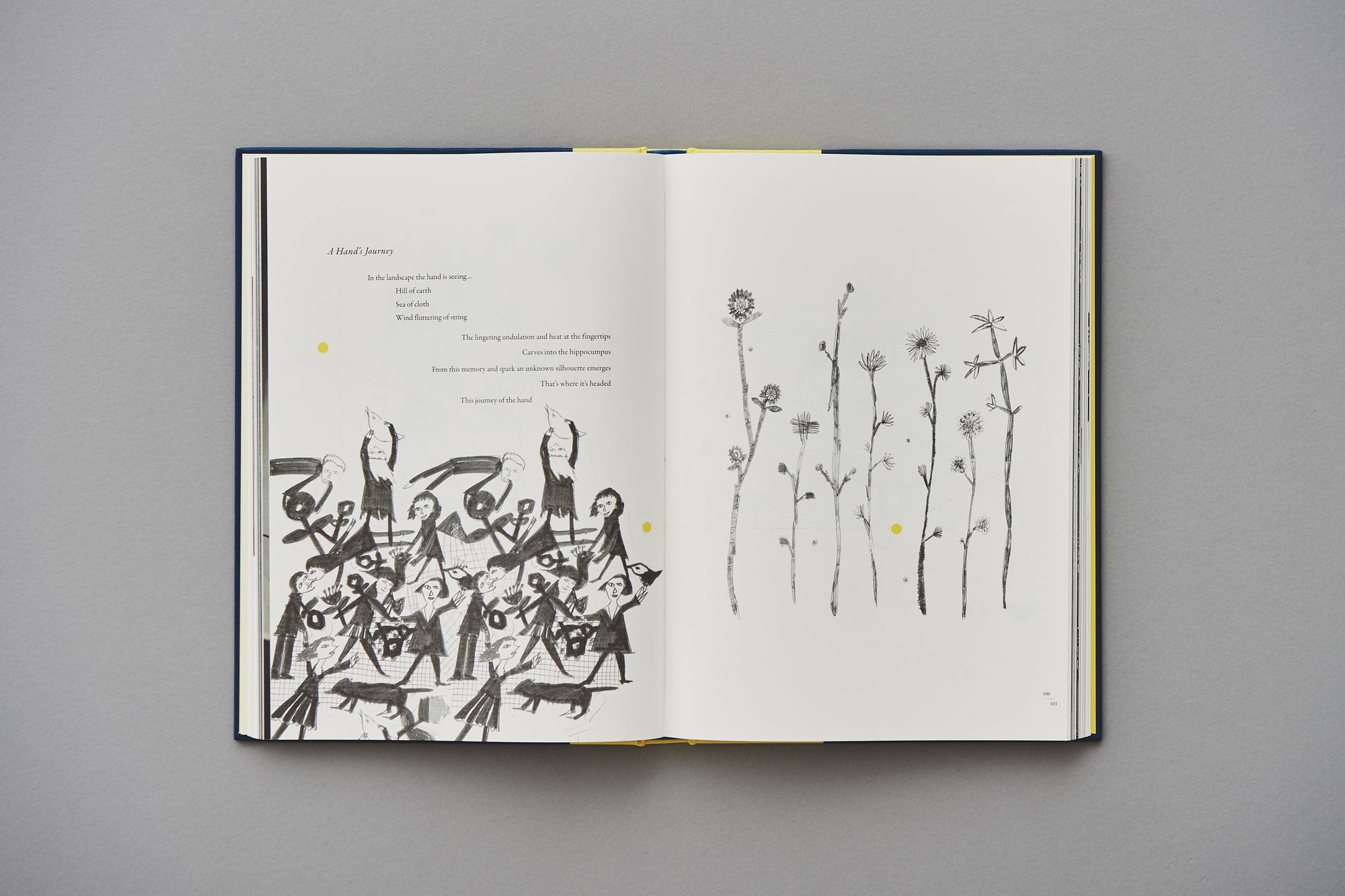 ripples 和訳冊子付き - minä perhonen