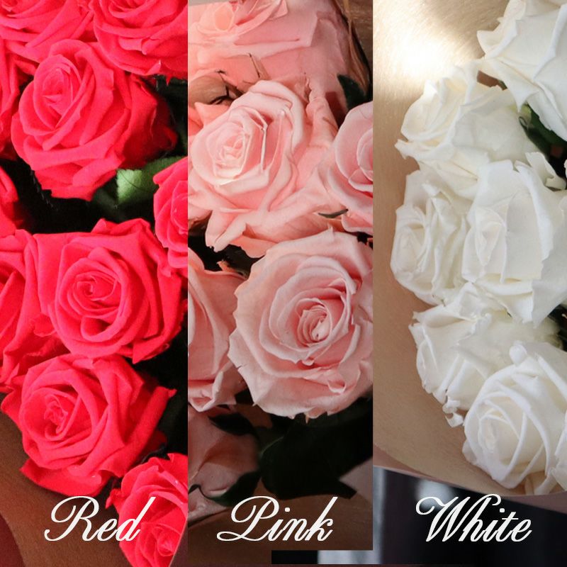 幸せのジンクス ダズンローズ | Pink【茎もプリザーブド加工・バラの