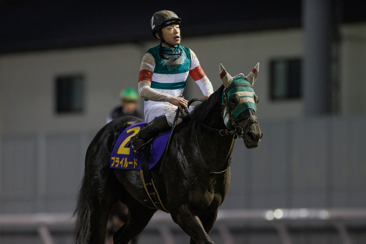 全日本2歳優駿回顧】ドライスタウトが圧巻の走りでレコードV