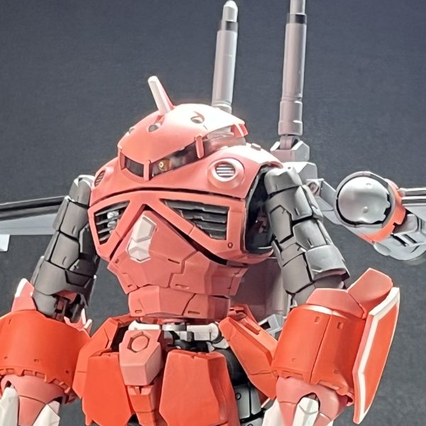 ズゴック(SEED FREEDOM版)｜あーるぐれいさんのガンプラ作品｜GUNSTA