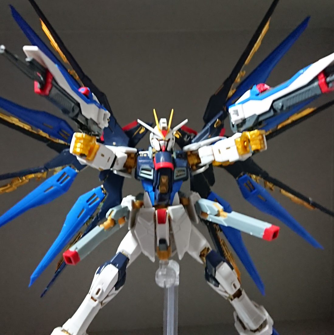 ジャンク品rgストライクフリーダム｜kaihaさんのガンプラ作品｜GUNSTA