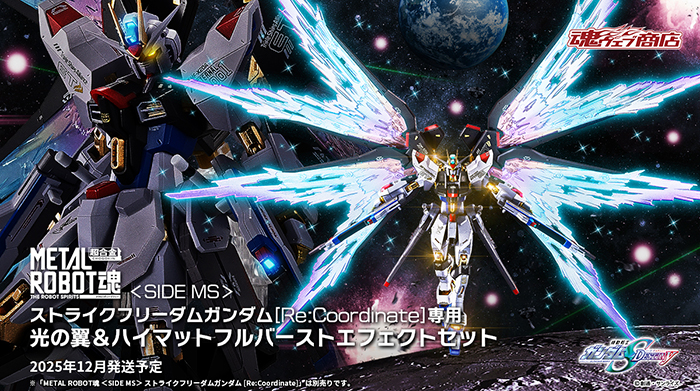 METAL ROBOT魂 ストライクフリーダムガンダム［Re:Coordinate］専用 光