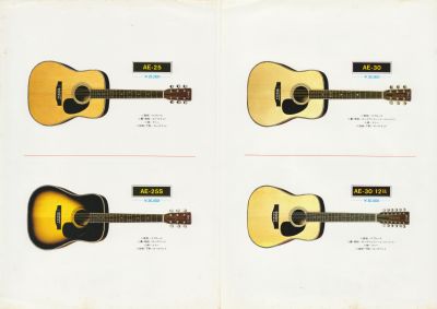 ThreeS AE series acoustic guitar catalog late '70s