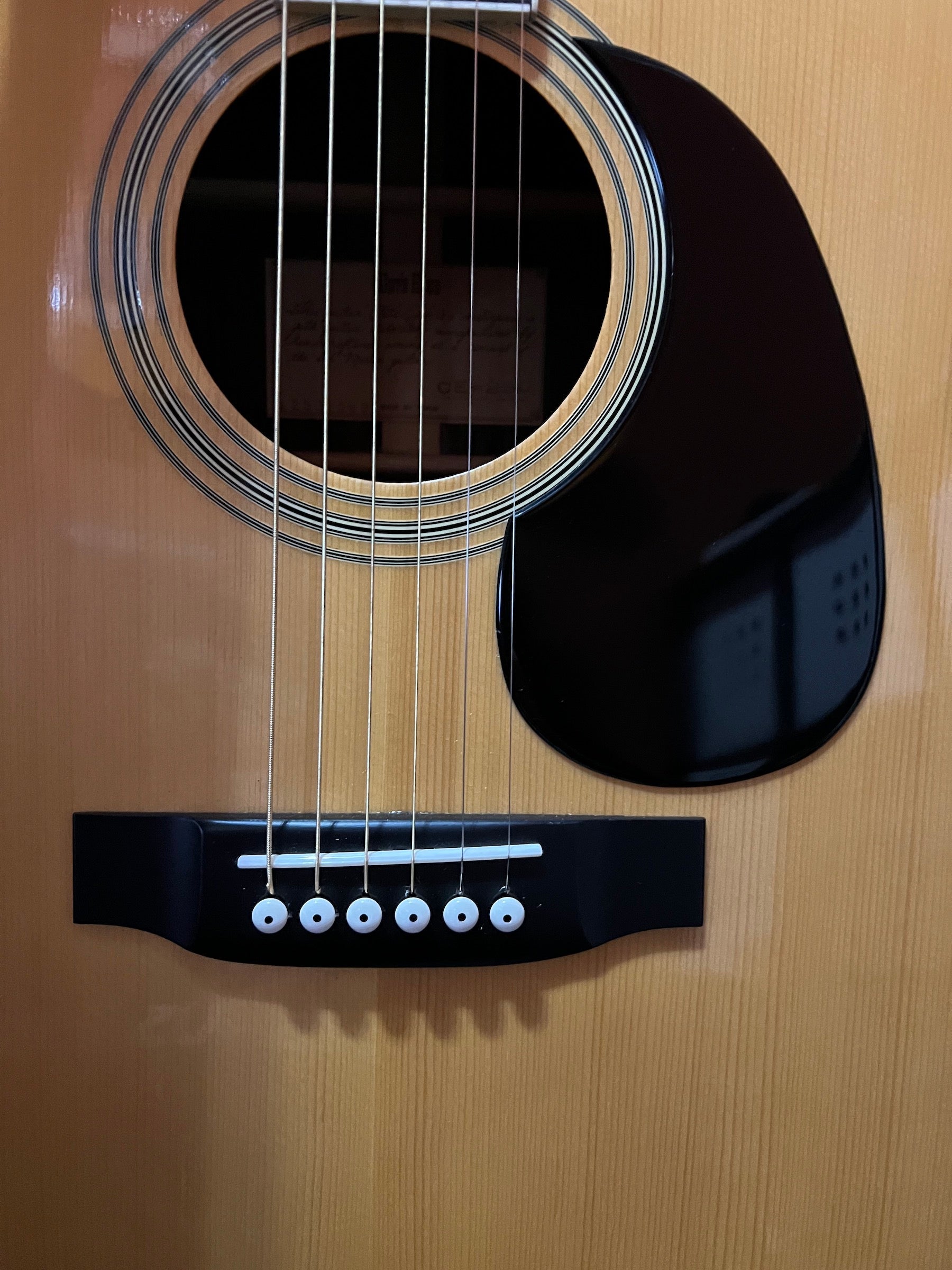 1980s Tokai “Cat's Eyes” CE-250 Acoustic Guitar – Japan – Guitar