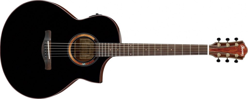 エレアコギター】Ibanez シリーズ・フラッグシップ・モデル“AEW120BG