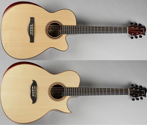 バイタライザー】低音主義！ベースや多弦ギターに最適なVITALIZER®BF