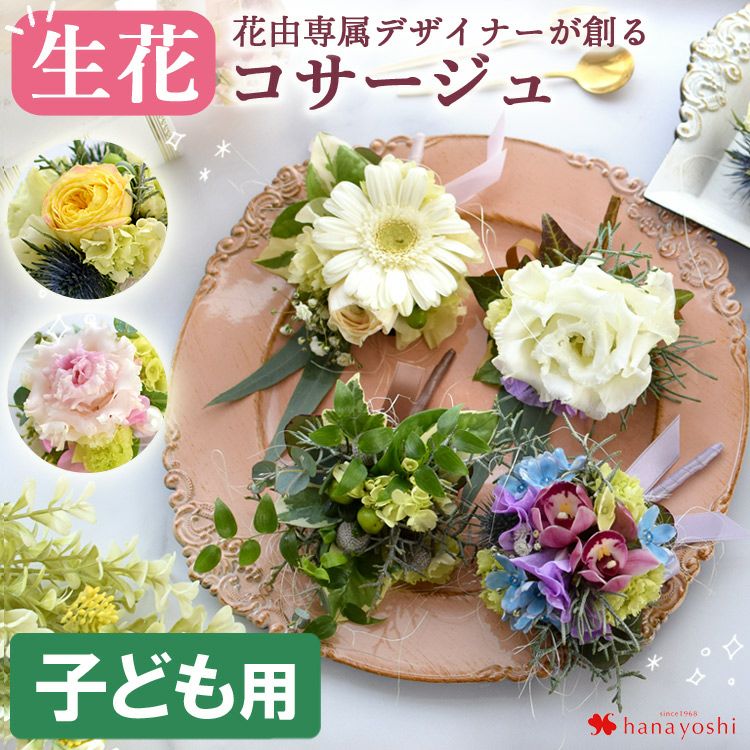 000000001205-01.jpg?size=l&w=