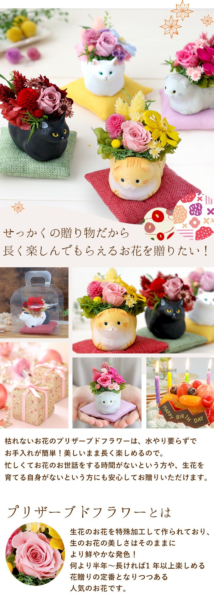 プリザーブドフラワー 和風 くつろぎねこ～7種類 | フラワーマーケット