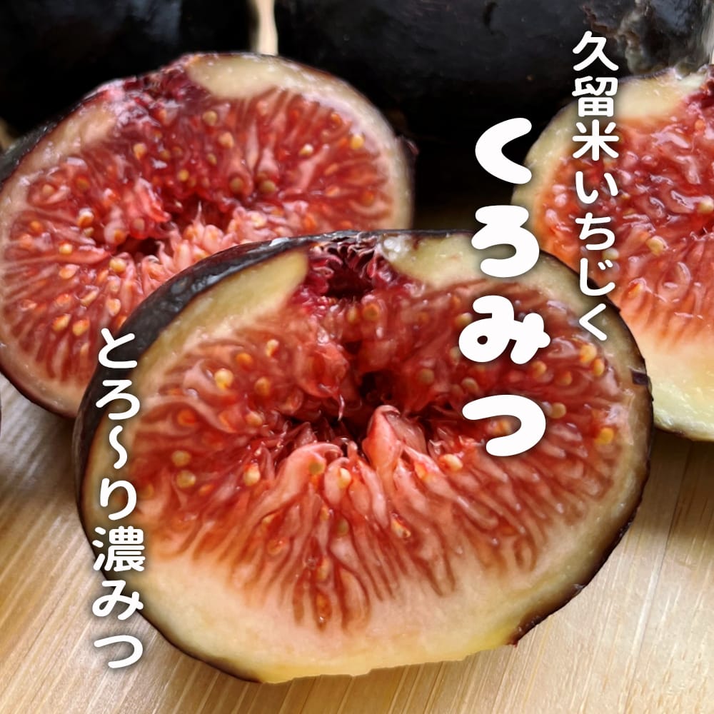 イチジク 久留米くろみつ 苗 販売 苗木部 By 花ひろばオンライン