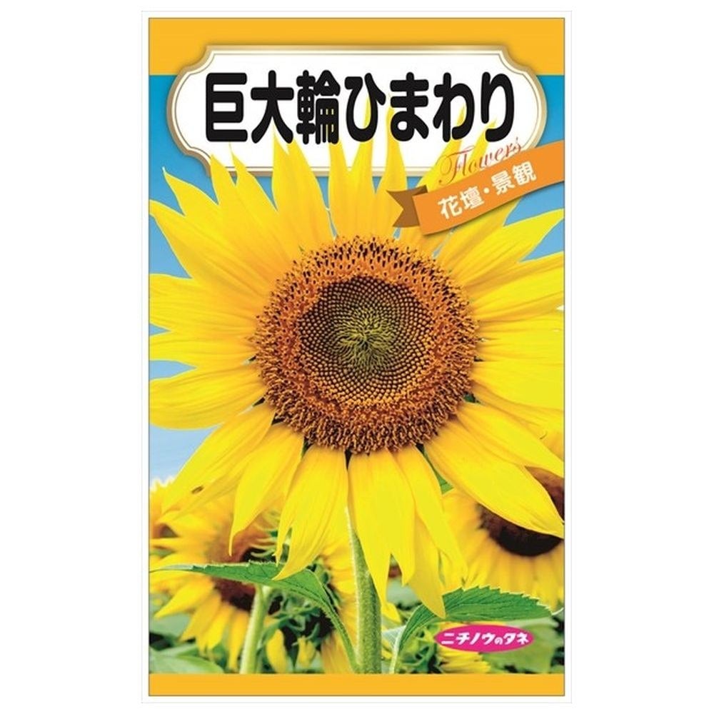 000000085111-01.jpg?size=l&w=