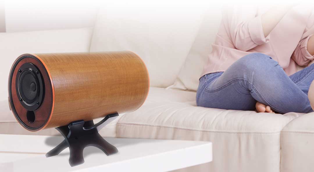 MS-1001 | エムズシステム 波動スピーカー