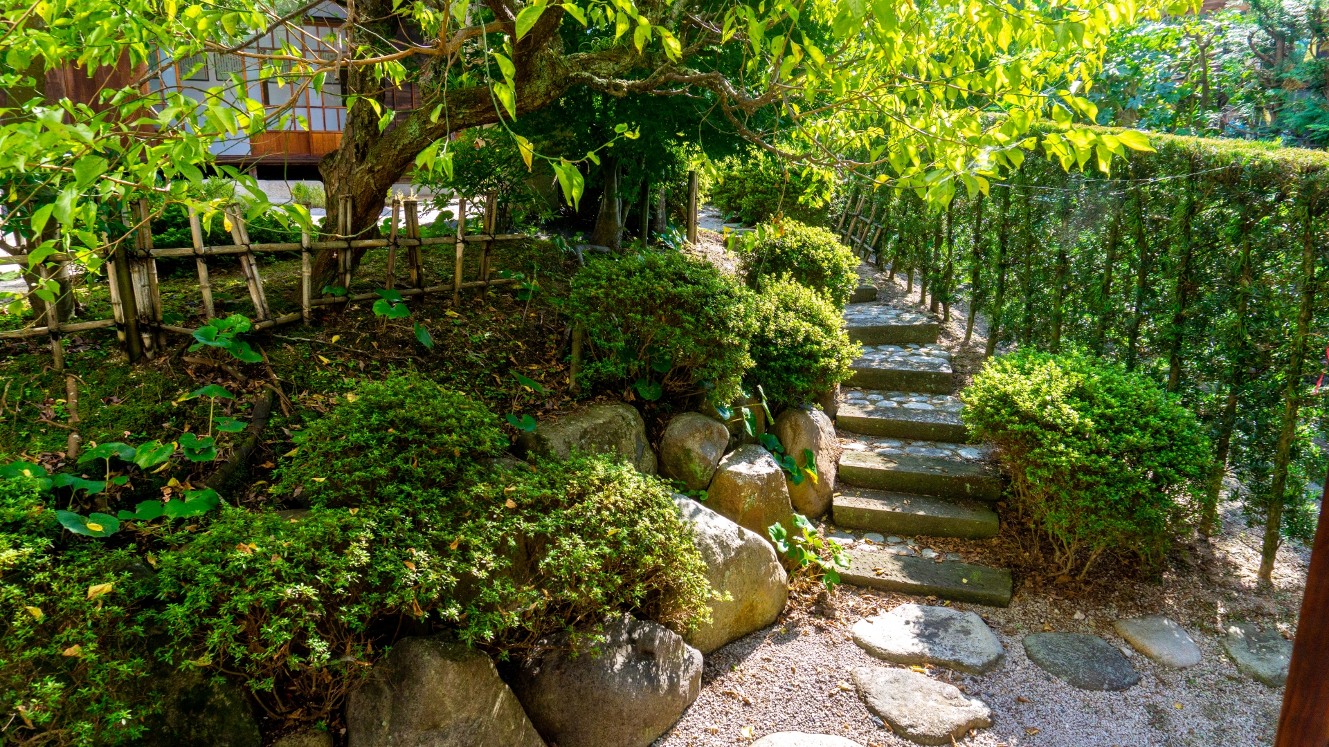 高野素十の有名俳句 20選】ホトトギスの四Sのひとり!!俳句の特徴や人物