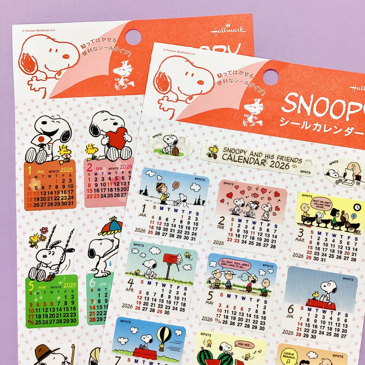 845612_11.jpg?v=1754269002&