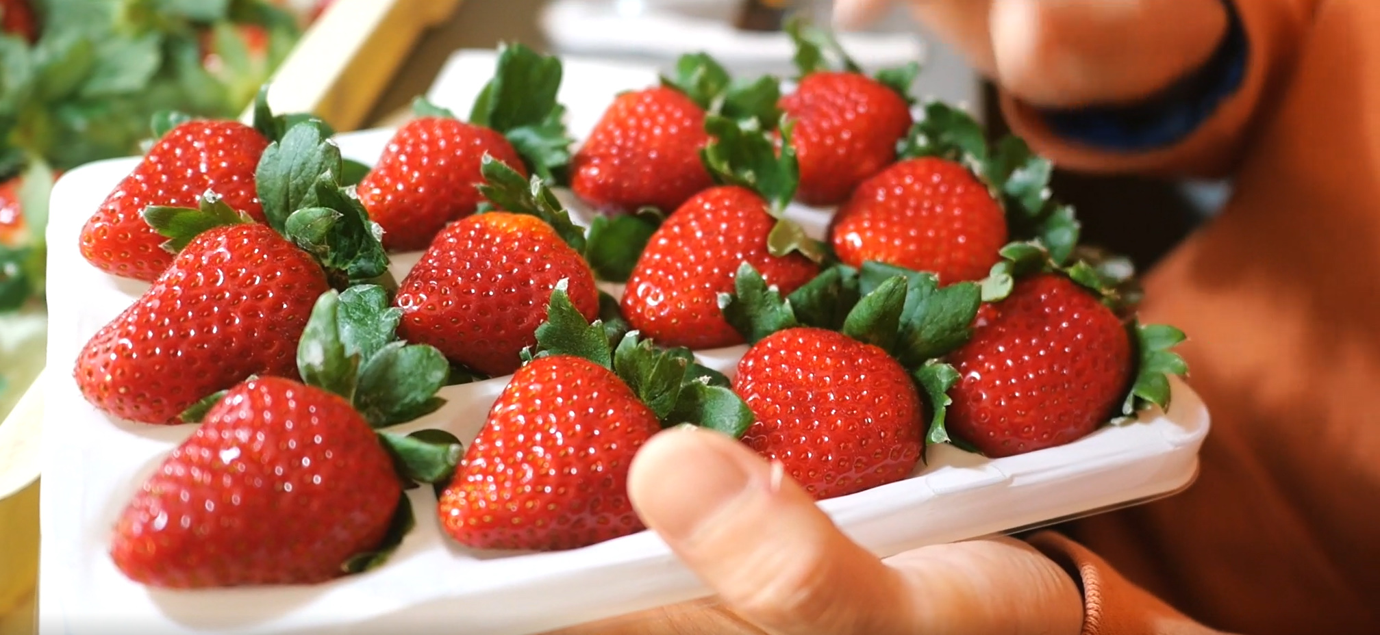 取り扱い店舗 - HAPPY ICHIGO LAND 幸せ届けるイチゴ農園