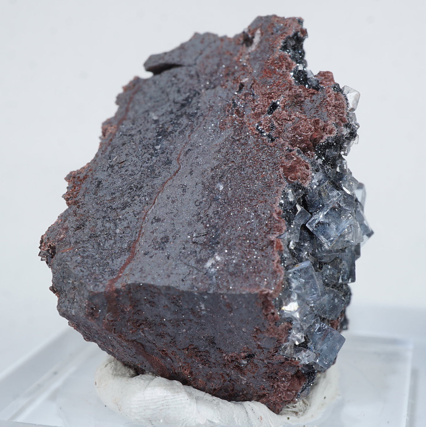 イギリス Florence(フローレンス)Mine産 フローライト on ヘマタイト