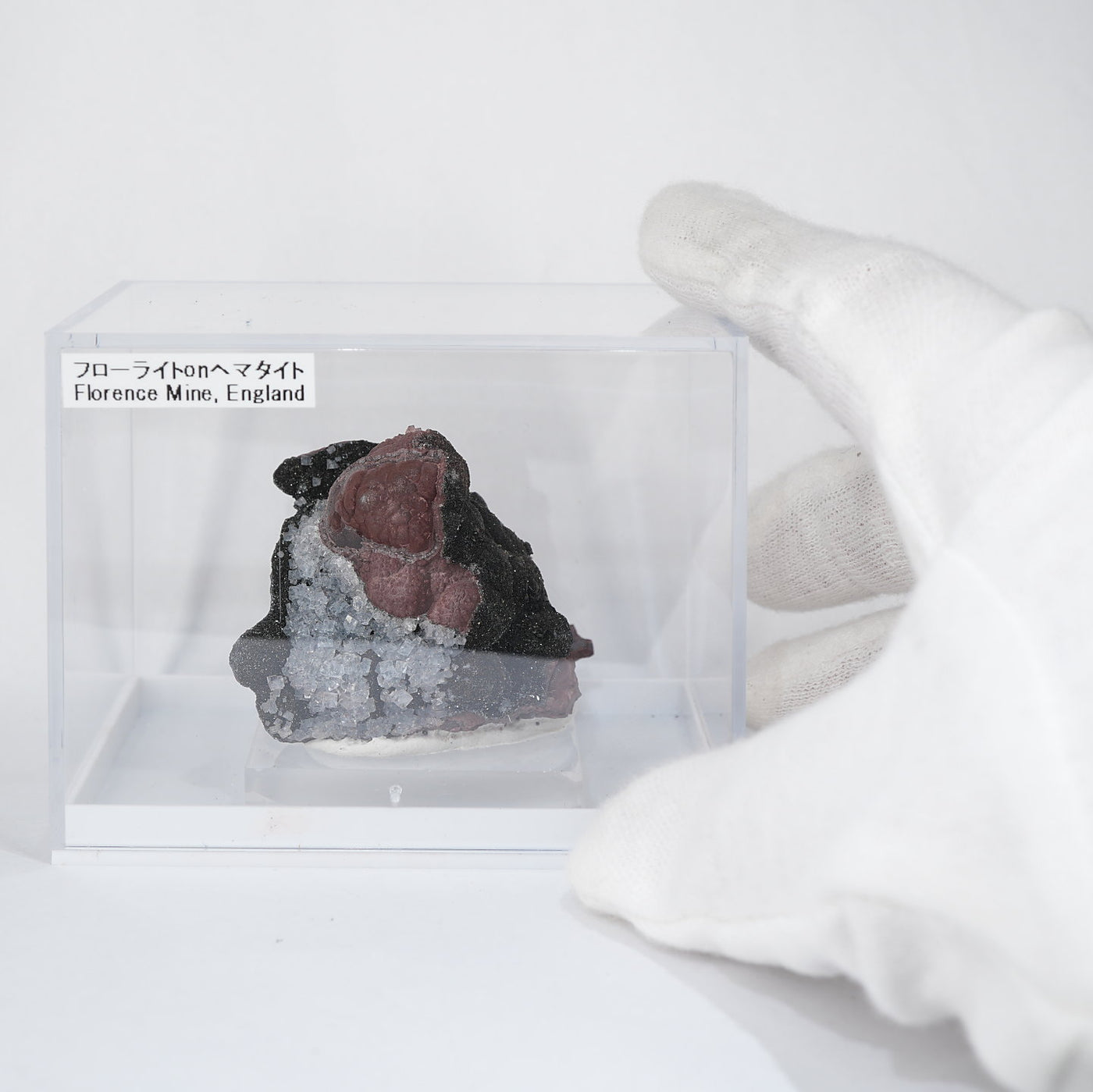 イギリス Florence(フローレンス)Mine産 フローライト on ヘマタイト