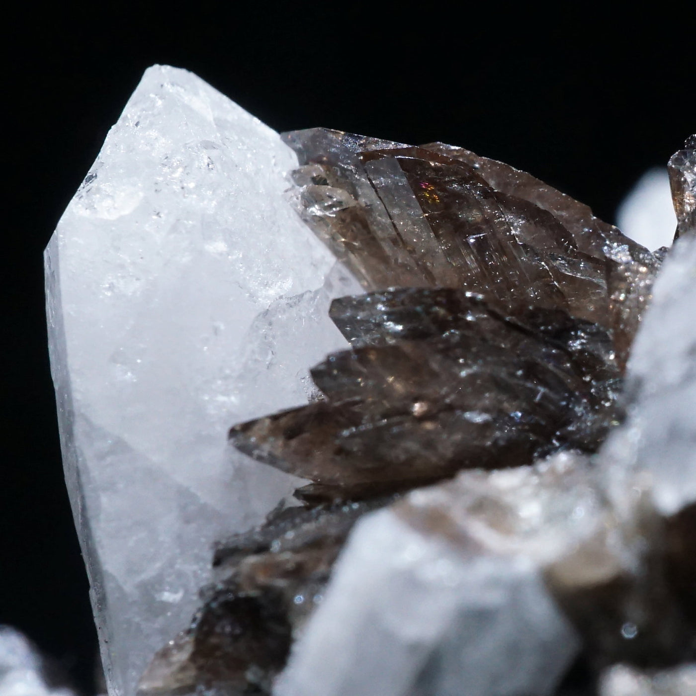 ロシア産 アキシナイト(斧石)・水晶 – 天然石ハッピーギフト