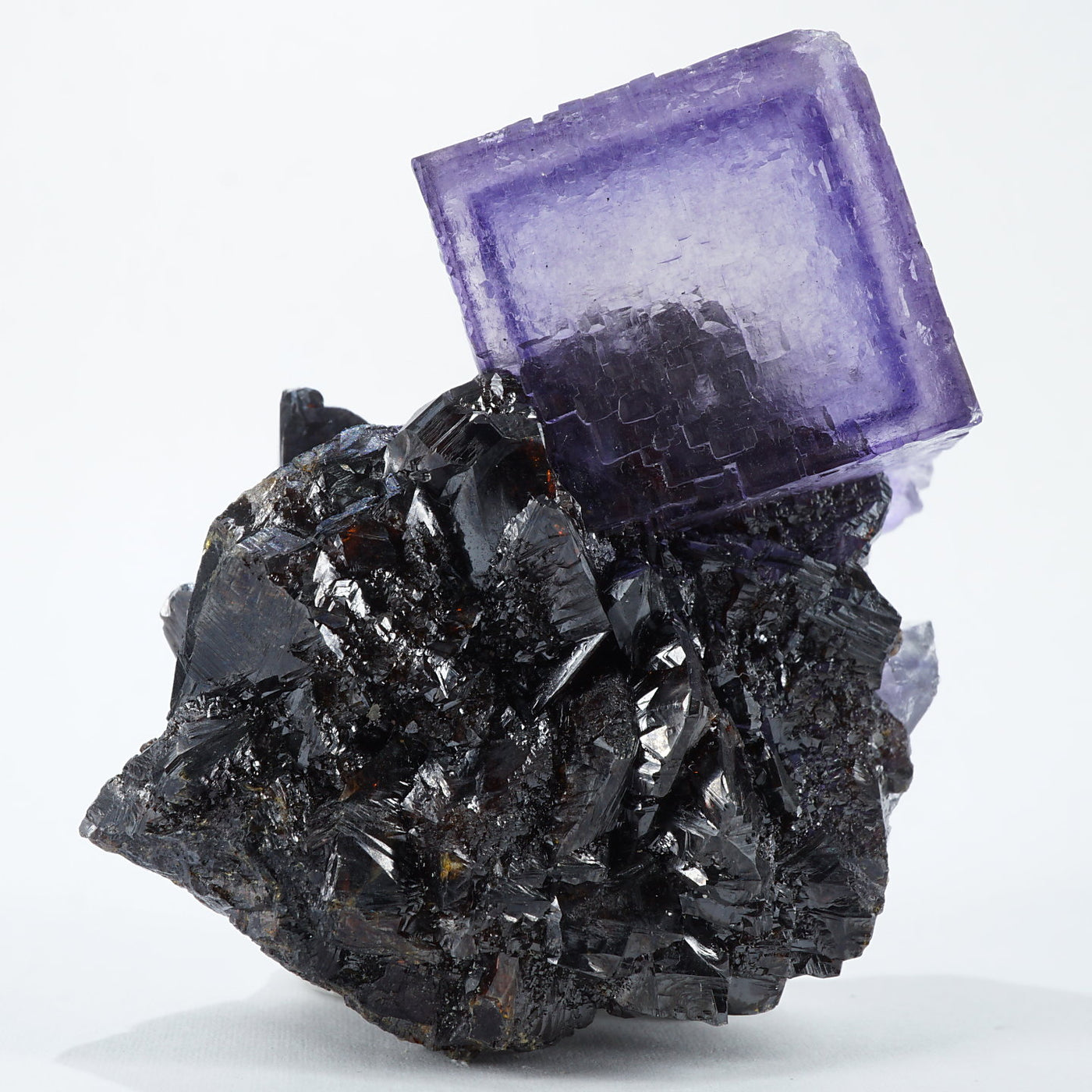 テネシー州 エルムウッド鉱山産 フローライト・スファレライト