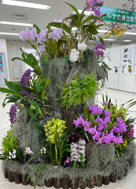 世界のらん展2025～百花繚乱魅せられて～」@池袋サンシャインシティへ