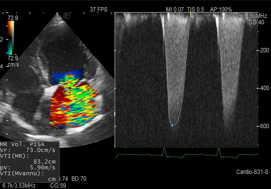 千葉市緑区・中央区｜犬猫の心臓エコー検査・循環器診療｜はら動物病院