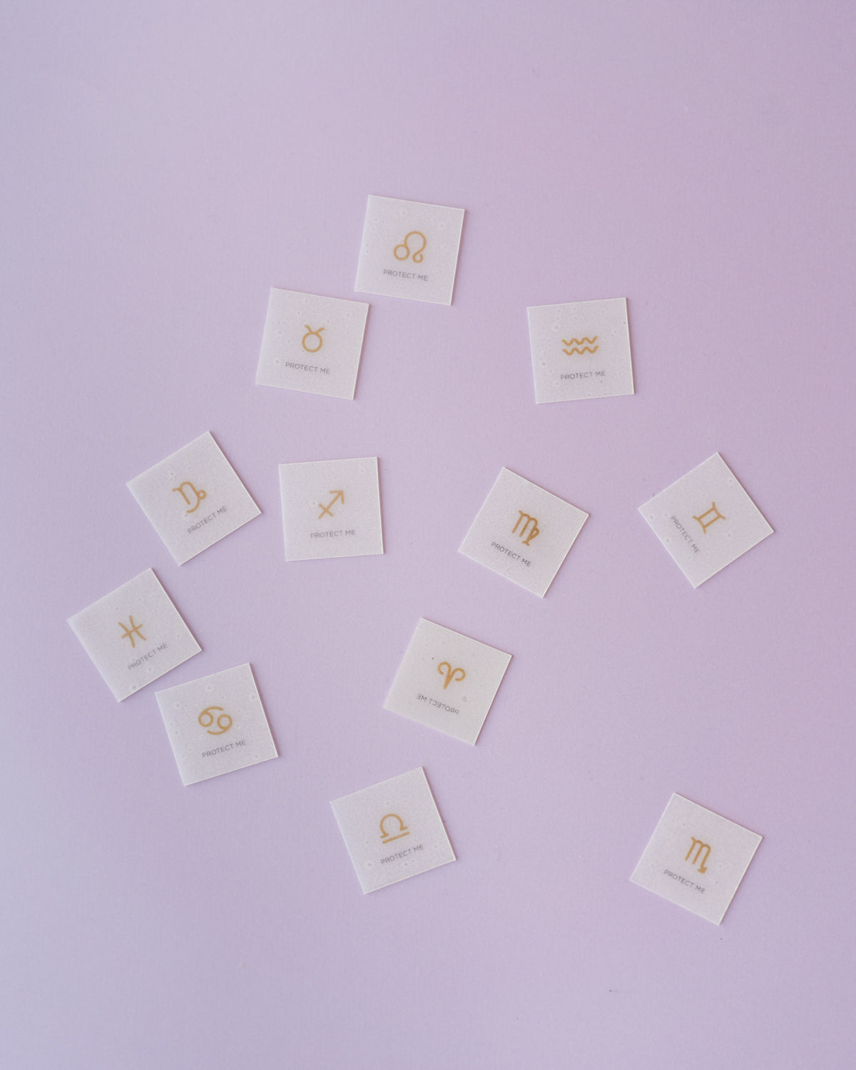 DSC07700_1200x.jpg?v=1741767791