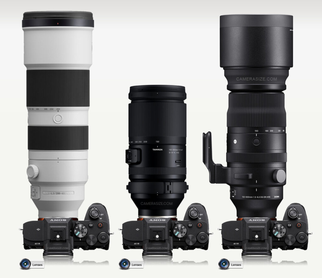 Tamron】コスパ最高！使って良かったタムロン神レンズまとめ（SONY E