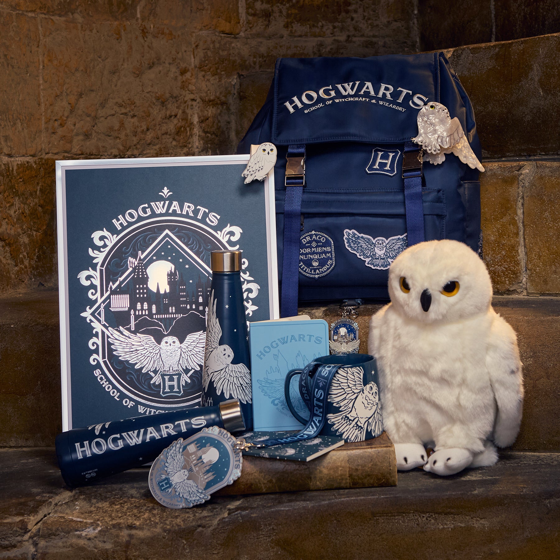 ホグワーツ ヘドウィグ ポスター | ハリー・ポッター ショップ