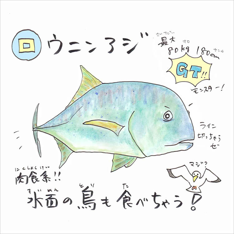 あ・い・う・え・おさかな 【ラ行】のお魚な～に？ | 知って得する