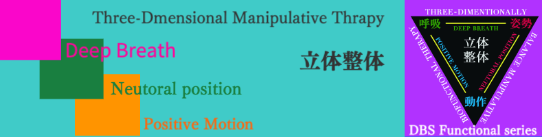 ファンクショナルハーネス