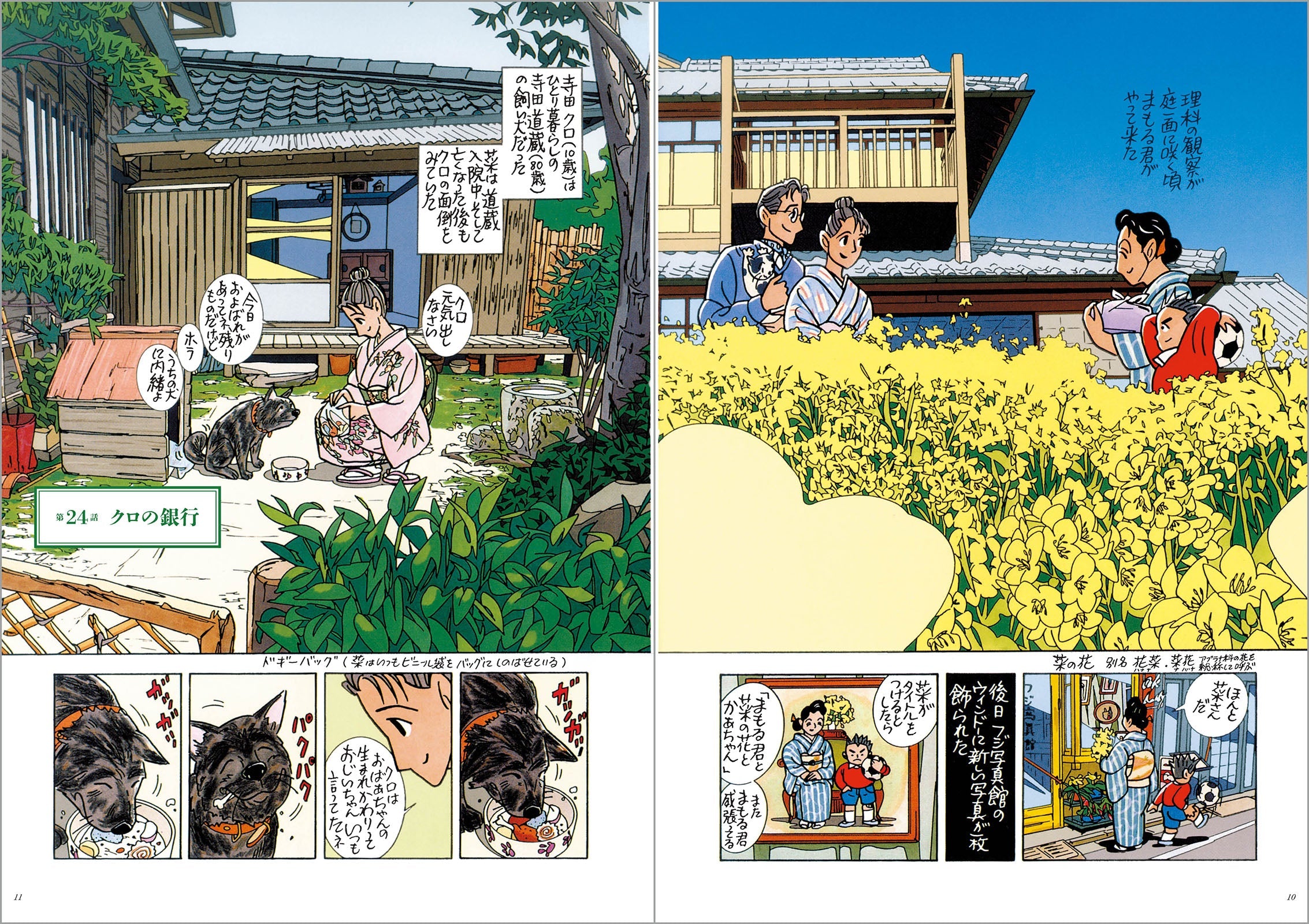 菜 Complete Box Ⅰ&Ⅱ 菜 Complete Edition（全6巻セット