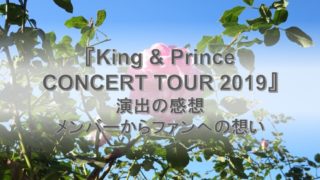 キンプリエモい！タダモノじゃない！『King ＆ Prince CONCERT TOUR
