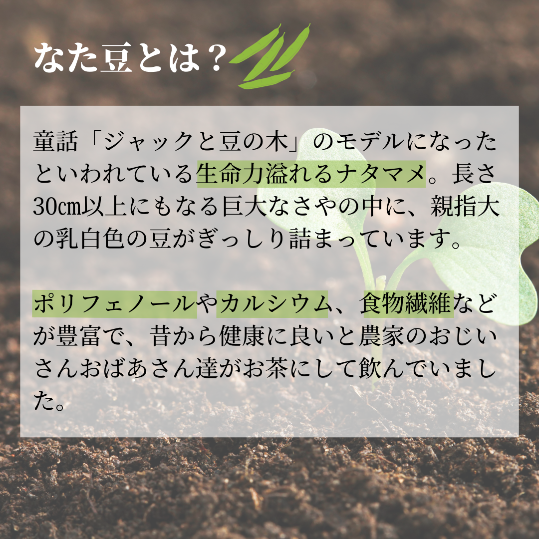 丹波なた豆茶 Premium Pack – hibino