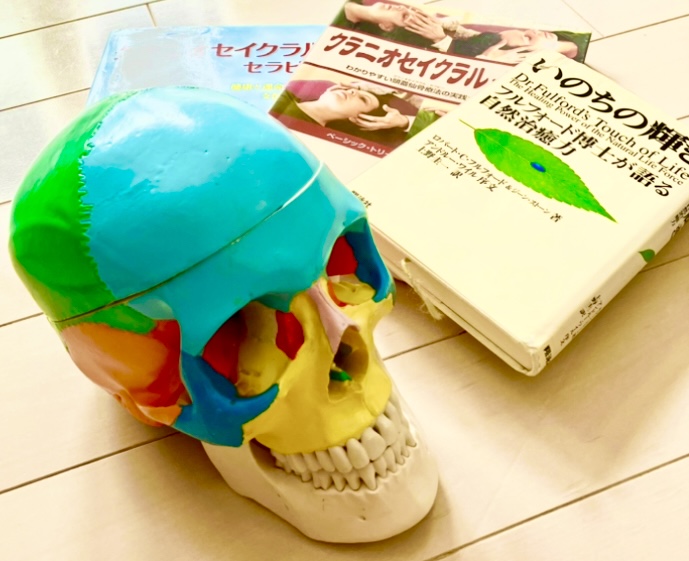 自分で行う頭蓋仙骨療法 ⑤頭蓋骨の調整 | 安城市・高浜市・知立市