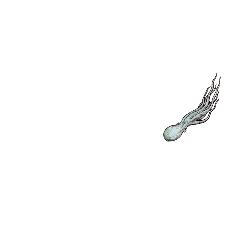 ヒグチユウコ Higuchi Yuko Official Website