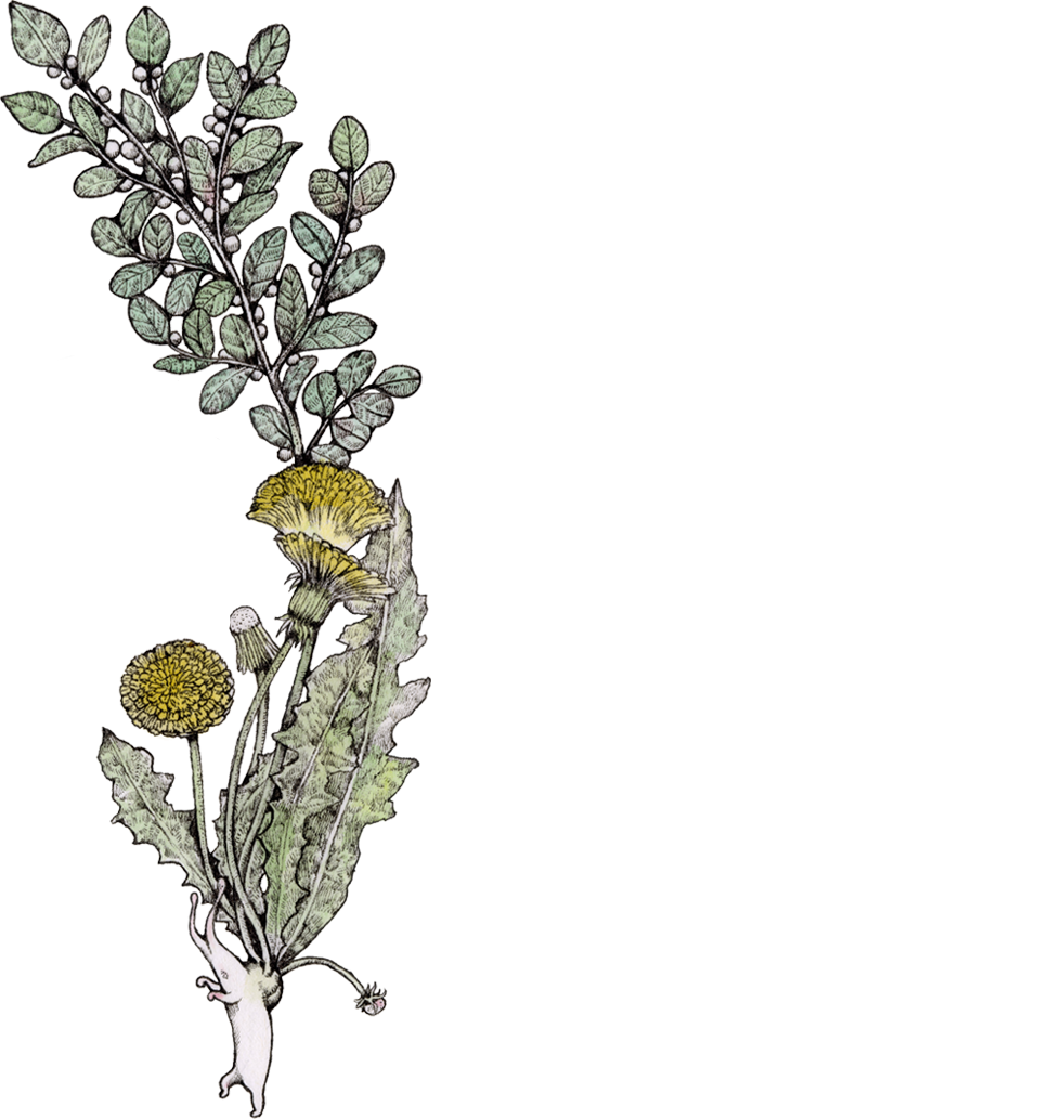 映画『サスペリア』ポスター｜ヒグチユウコ Higuchi Yuko Official Website