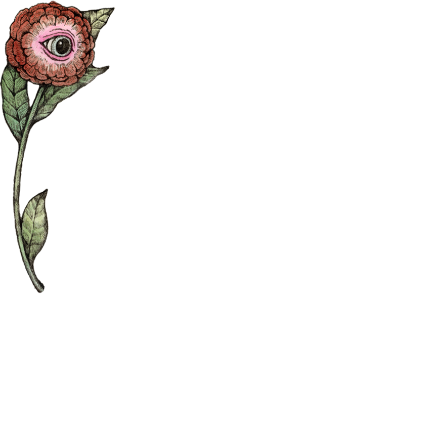 映画『サスペリア』ポスター｜ヒグチユウコ Higuchi Yuko Official Website