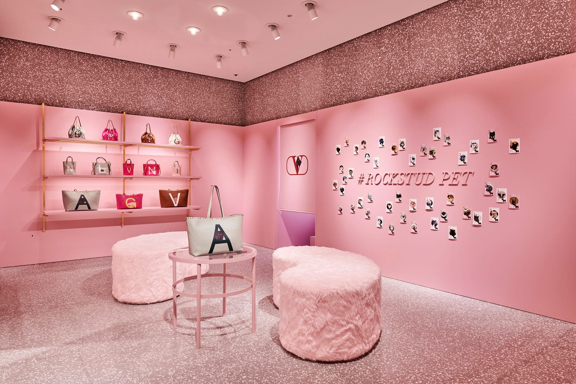 ヴァレンティノ ガラヴァーニ」が“ロックスタッズ ペット”のイベントを