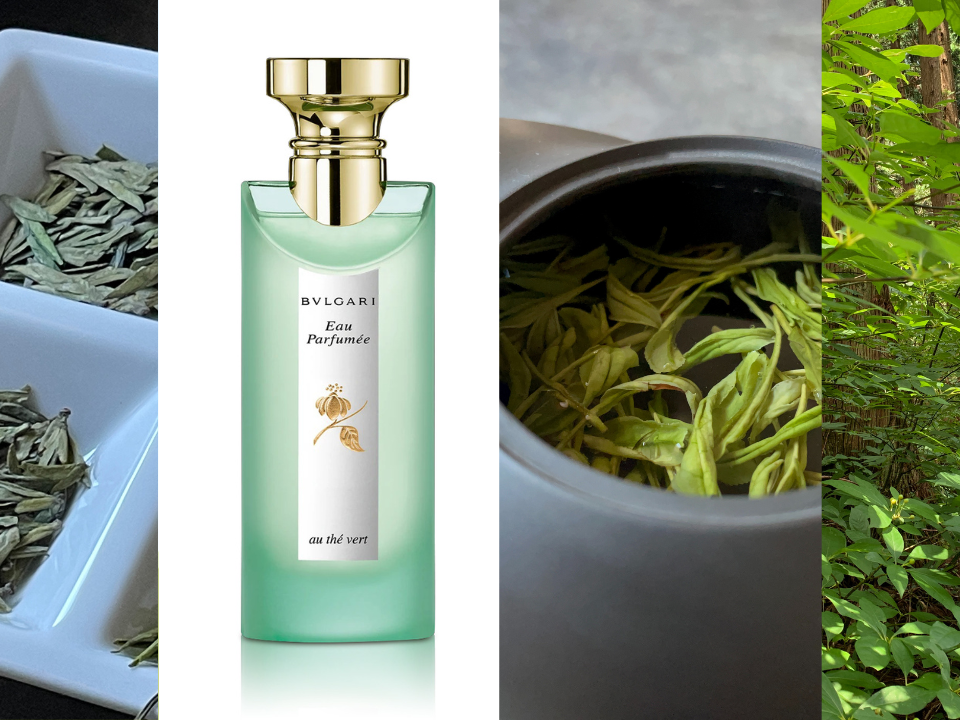 DNAに刻まれた香り。衝撃を受けた、ブルガリによる世界初のお茶の香り