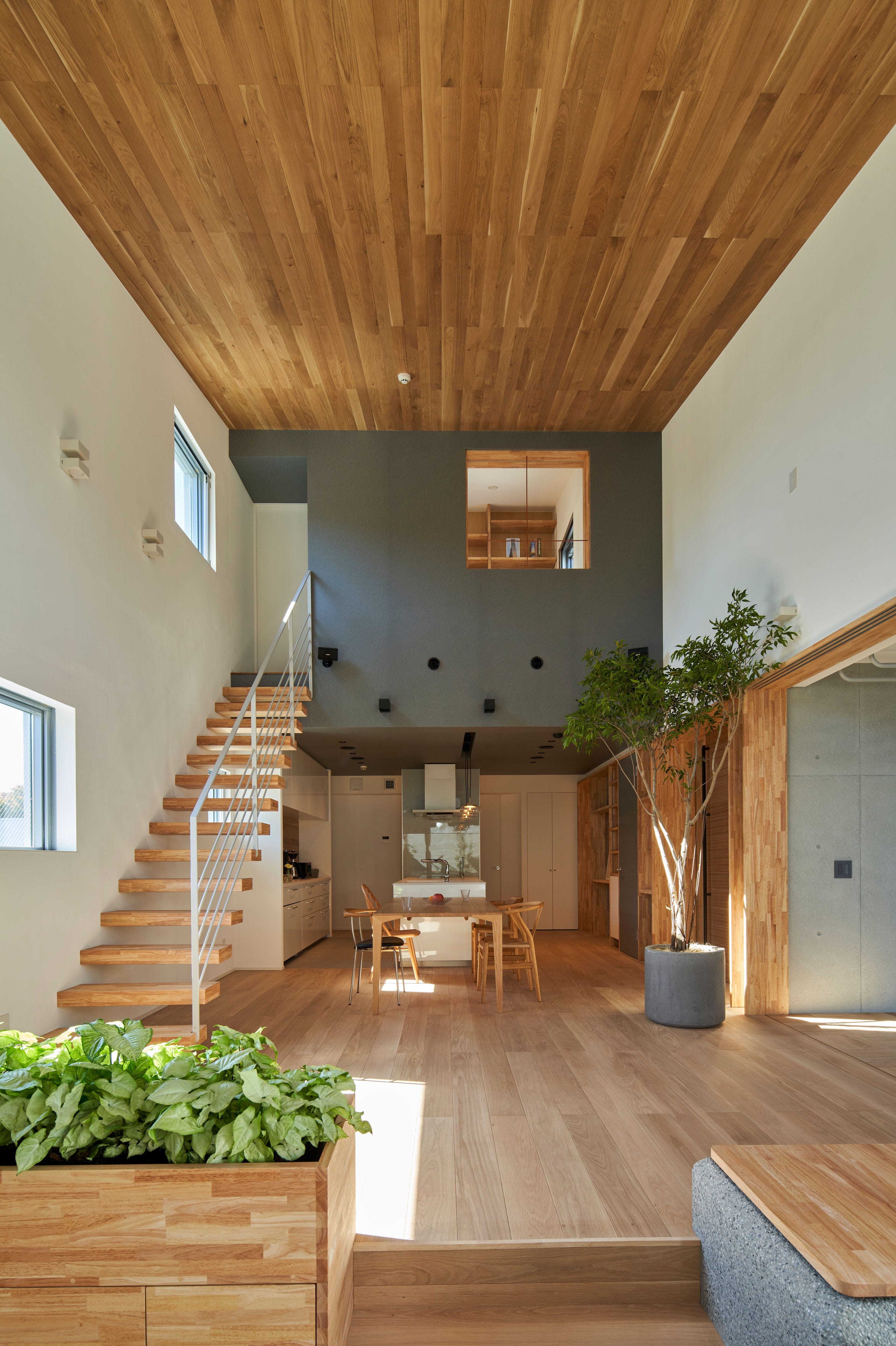 dsc2677-1670578868.jpg?crop=0.