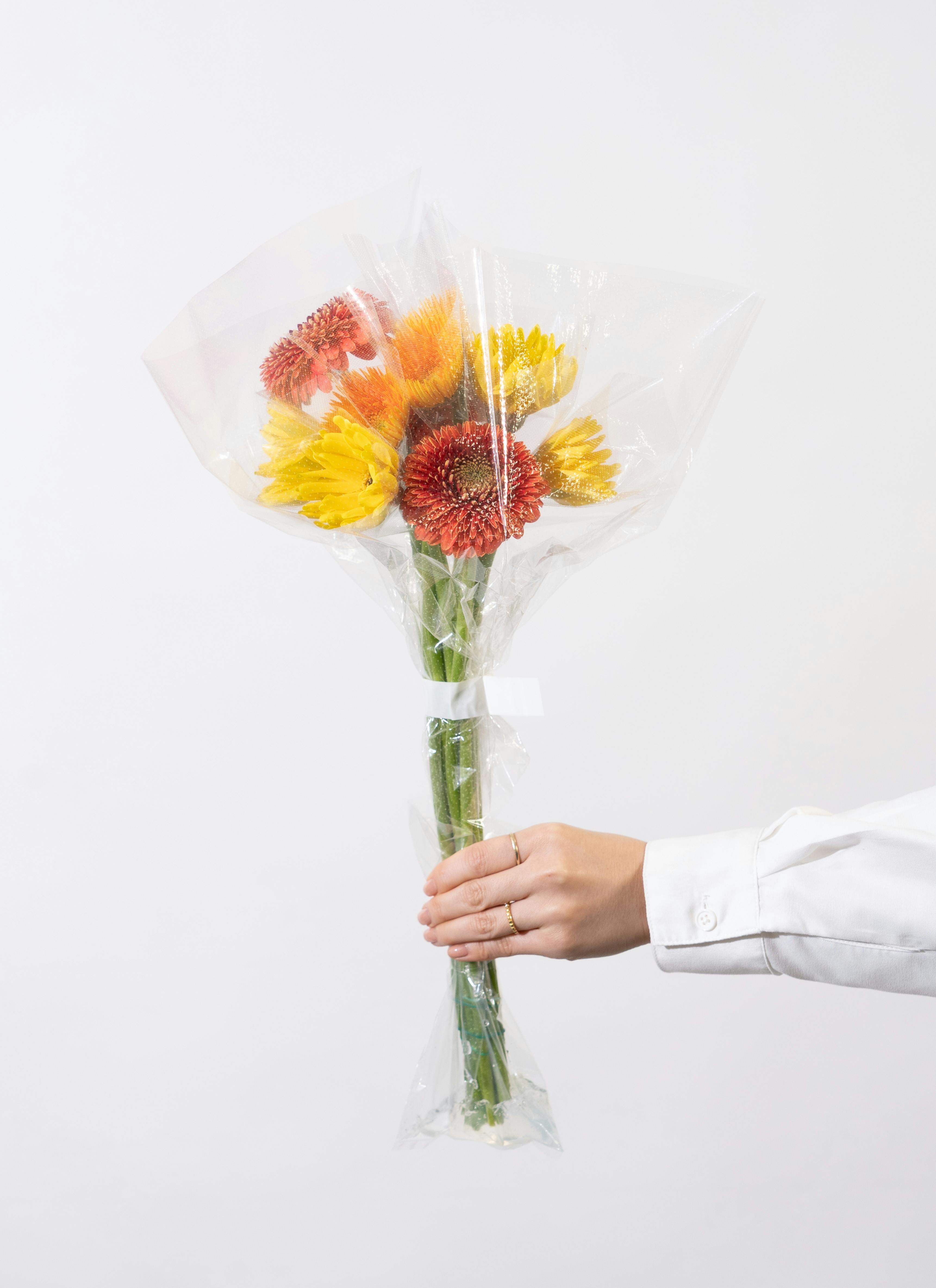 産地直送 ガーベラ ミックス 10本花束／静岡 松下園芸からお届け