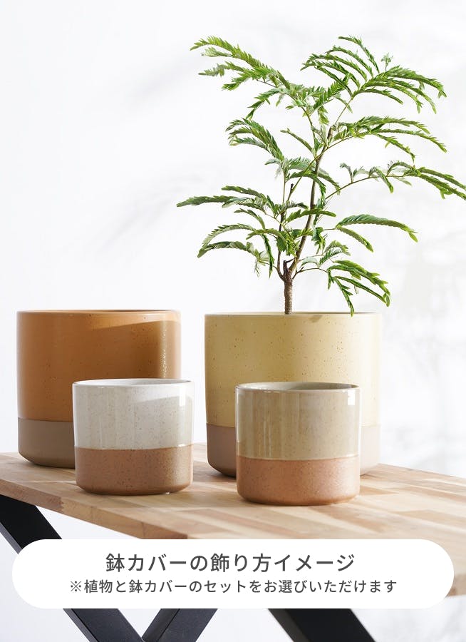 鉢カバー ハンネ 16 R 4号鉢用 #FARM 40132 | 鉢カバー・植木鉢なら