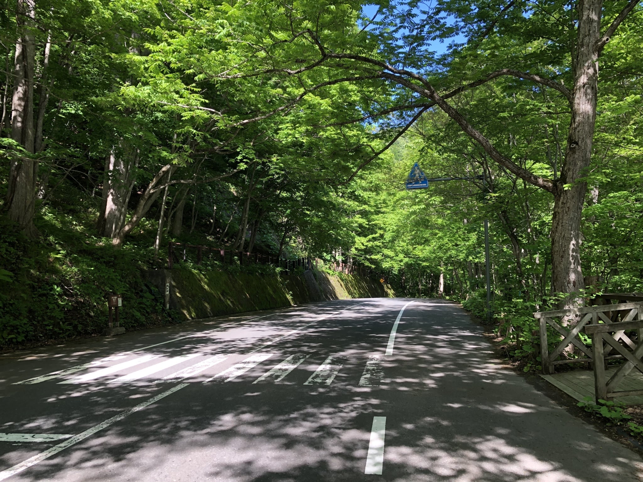 奥入瀬渓流〔子ノ口〕Cコース（片道）7,500円