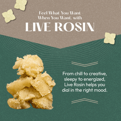 Indica - Absolute Gummies | Hometown Hero