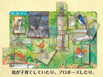 はっけんずかん/まどあけずかん 他 図鑑11冊セット はっけんずかん/ま