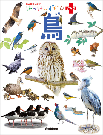 はっけんずかんプラス『鳥 まどあきしかけ』 ｜ 学研出版サイト