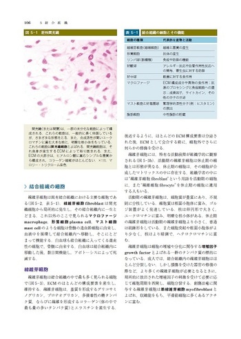 ジュンケイラ組織学 第6版（原書16版） - 丸善出版 理工・医学・人文