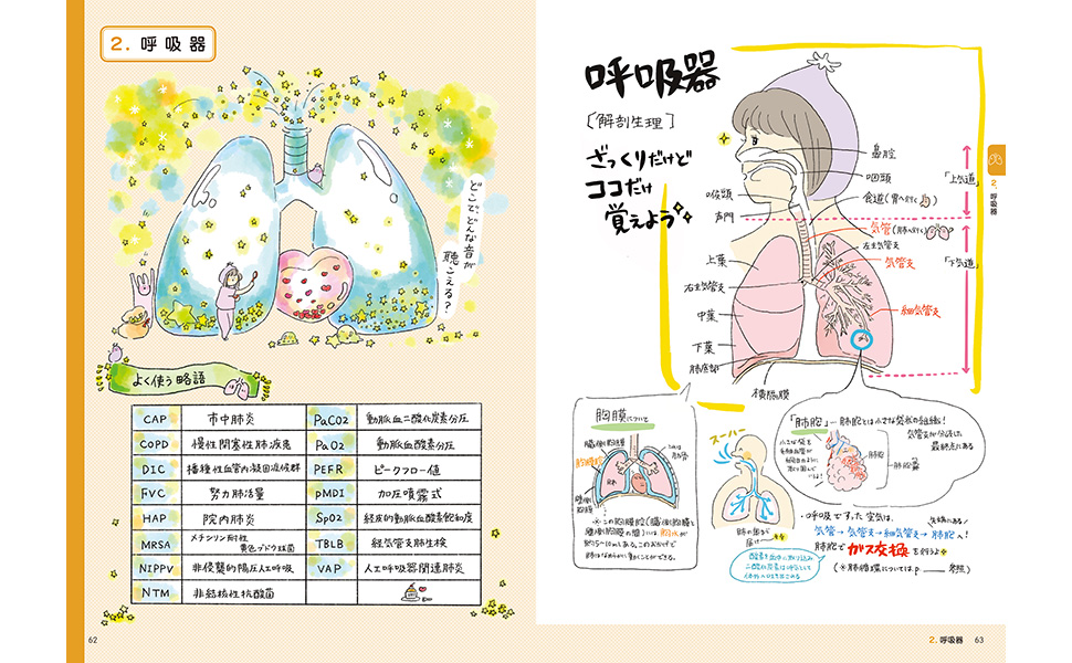 ズボラな学生の看護実習本 ずぼかん - 照林社